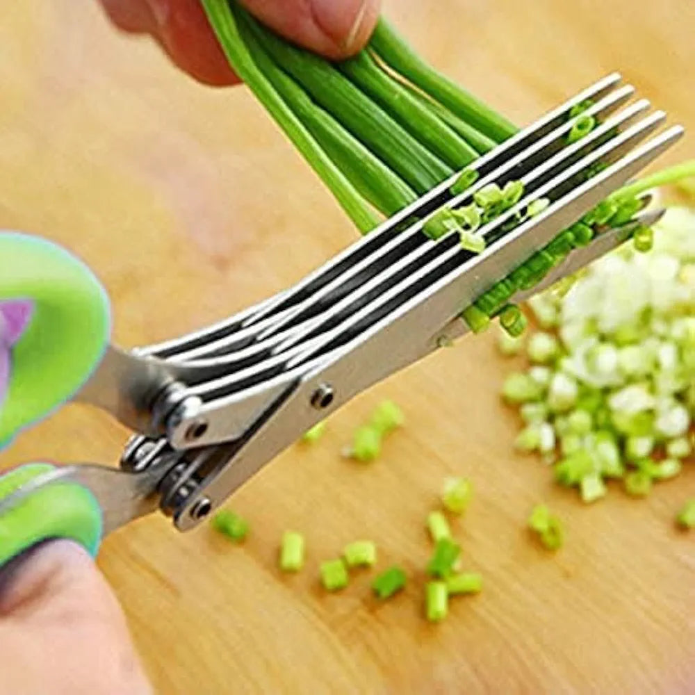5 Layers Vegetable Scissors | 5 Blade Stainless steel Herb Shears | Kitchen Scissor