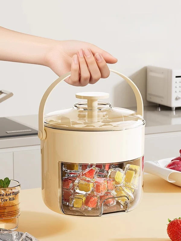 Portable Double Ice Cube Dispensary